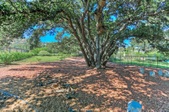 Enlarge photo 18