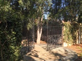 Enlarge photo 21