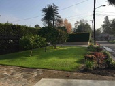 Enlarge photo 16