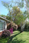 Enlarge photo 4