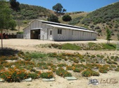 Enlarge photo 18
