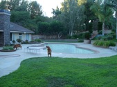 Enlarge photo 19