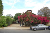 Fort Alibi House