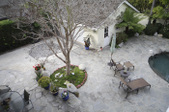 Enlarge photo 19
