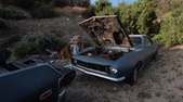 Enlarge photo 4
