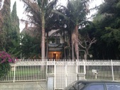 Enlarge photo 16