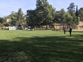 Enlarge photo 18