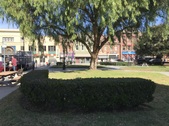 Enlarge photo 11