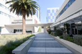 Paley