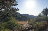 Charlton Flats Picnic Area