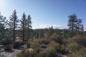 Meadow Campground