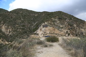 Angeles Crest Forest