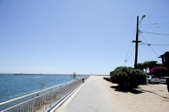 Venice Beach 3