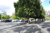 701 E 28th St, LB