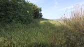Baldwin Hills Scenic Overlook