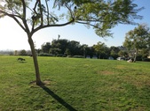 BARNSDALL ART PARK