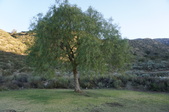 Enlarge photo 18