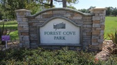 Forest Cove