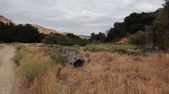 Enlarge photo 23