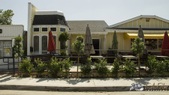Egg Plantation
