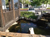Enlarge photo 12