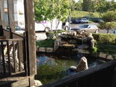Enlarge photo 16