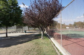 Enlarge photo 16