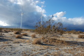 Enlarge photo 17