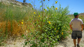 Enlarge photo 7