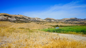 Small Green Field