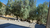 SilverStrand Ranch (All pics)