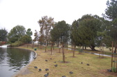 Enlarge photo 19