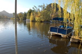 Enlarge photo 15