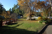 Grassy Areas on banks