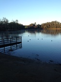 New Lakes