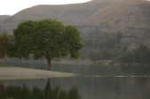 Other Lakes