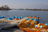 Enlarge photo 16