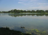 Whittier Narrows