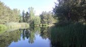 Enlarge photo 2