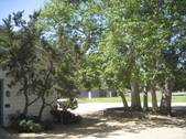 Enlarge photo 19