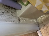 3520 repairs