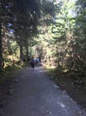 Enlarge photo 15