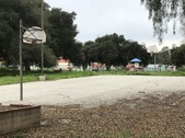 Basketball Court