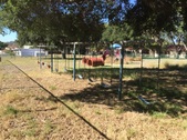 Circle Park