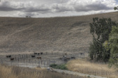 Ranch