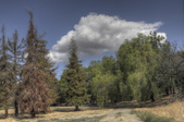 Enlarge photo 14