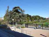 Enlarge photo 10