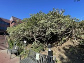 Enlarge photo 12