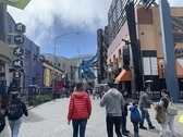 Enlarge photo 16