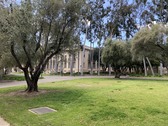 Enlarge photo 23